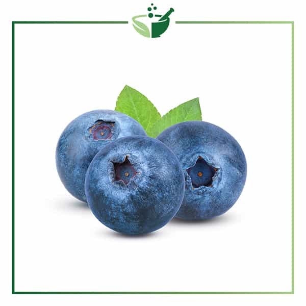 Blueberry Infused Oil